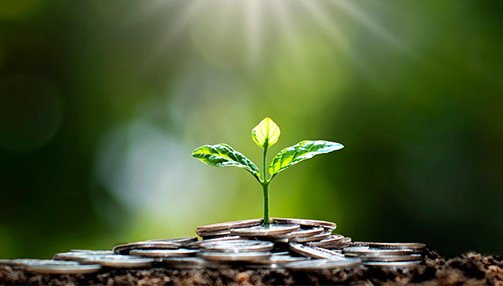 sustainability-1