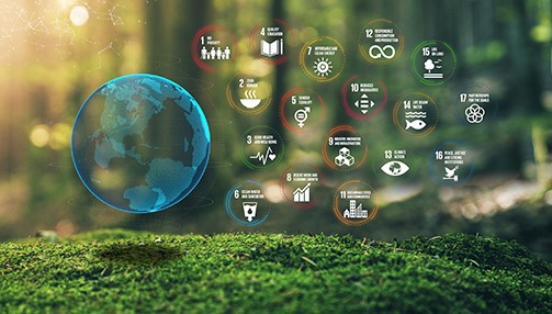 sustainability